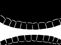 Mouth