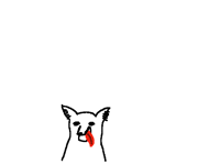Cutie dog