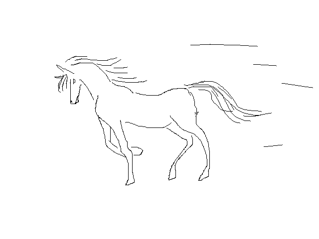 Horse