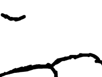 Wind land My first animation ever!