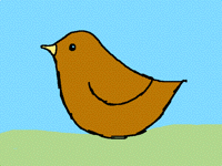 Lil birdy