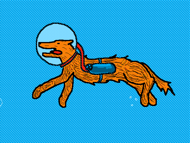 A swimming dog