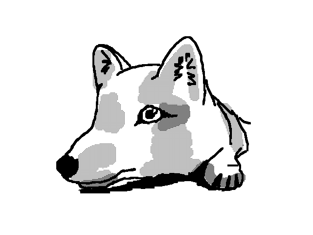 Arctic fox