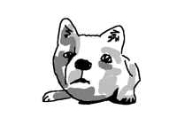 Arctic fox