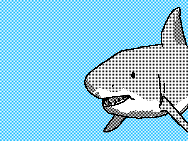 GREAT WHITE SHARK NEAR