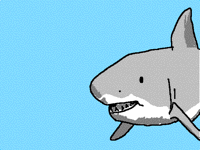 GREAT WHITE SHARK NEAR