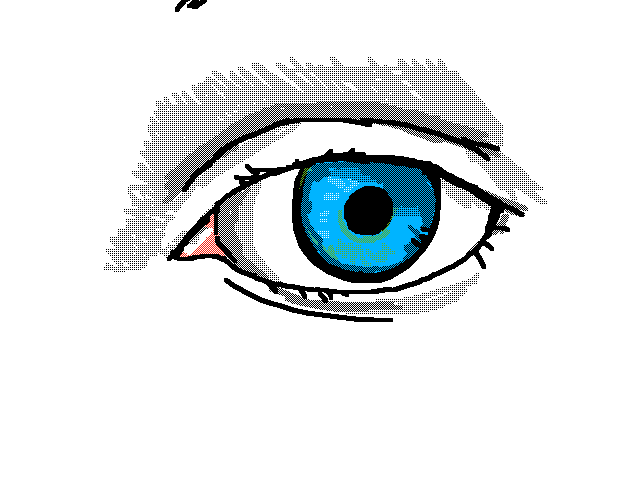 Eye