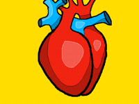 Heart (х3)