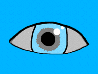 312
