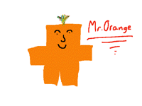 Meet blueberry's twin ,Mr.Orange