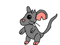 Mouse