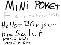 Mini Pocket French-English