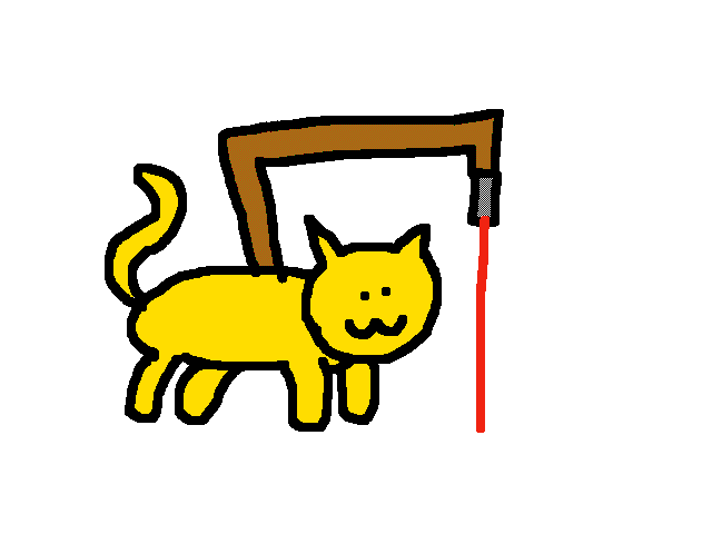 Point laser ve kedi
