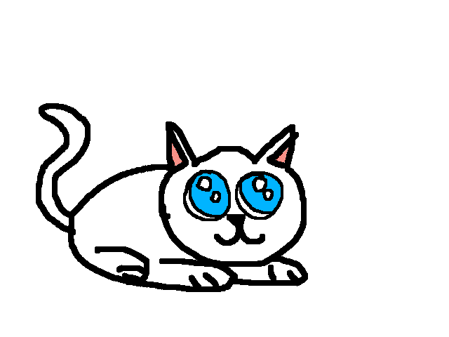Tavşan kedi
