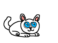 Tavşan kedi
