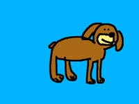 Köpekten ata