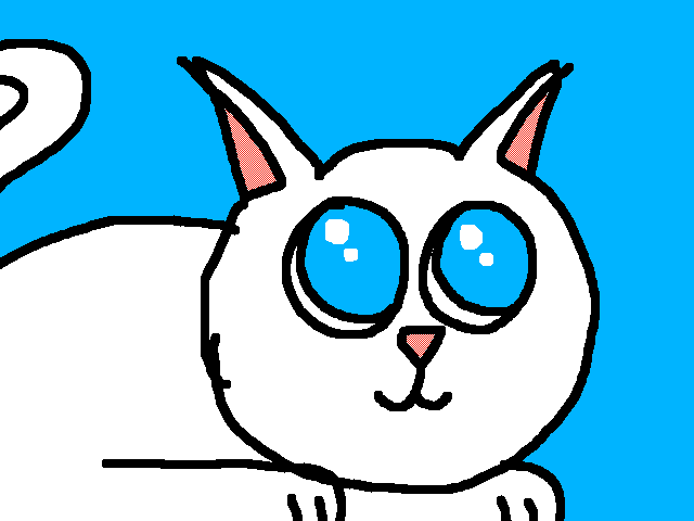 Sevimli kedi