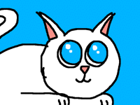 Sevimli kedi