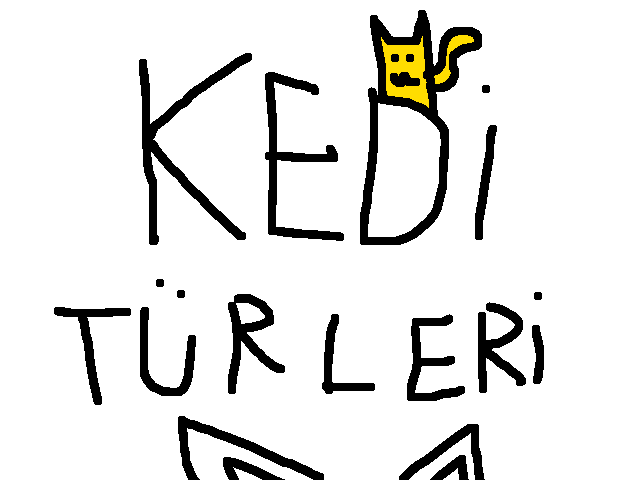 Kedi resmi şekilleri