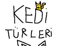 Kedi resmi şekilleri