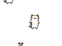 It's raining cats and dogs!