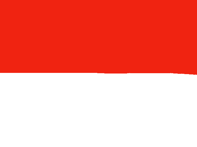 Guess what flag this is? 🇮🇩