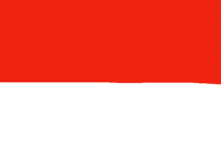 Guess what flag this is? 🇮🇩
