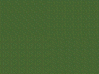 What colour is this?