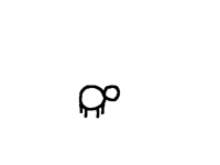 Sheep 5