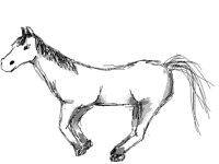 How to draw a Horse