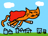 Кот супер мен