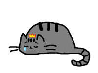 Котя грустный