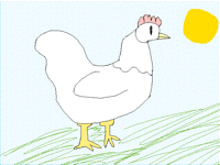 Chicken