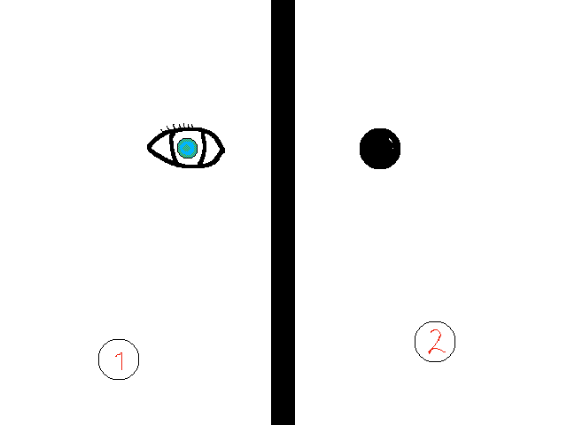 Eyes