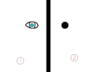 Eyes