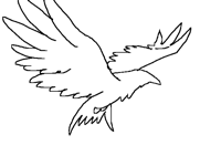 Birb