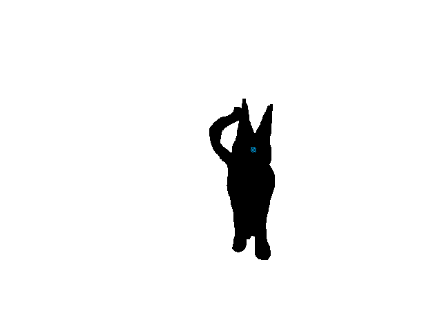 Walky cat