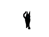 Walky cat