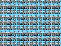 Find the odd one out