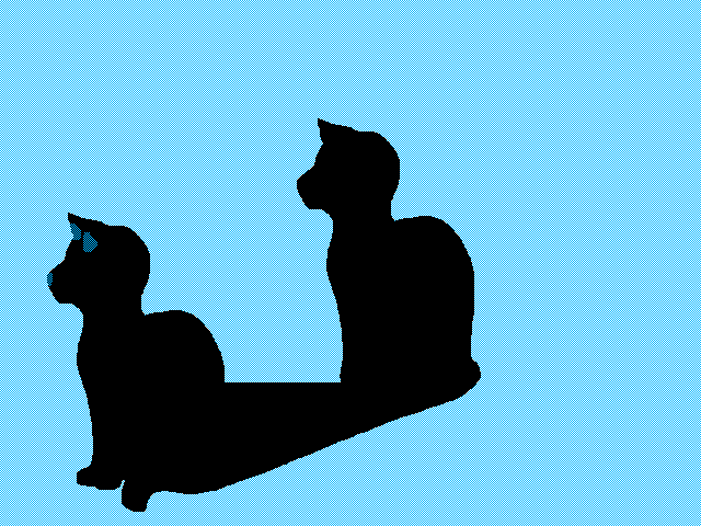 Black cat