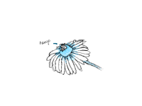 Magic flower I am stuck to