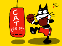 Are you ready 4 the great Folio Cat Contest?