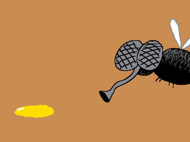 The Fly / another simple animation
