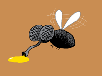 The Fly / another simple animation