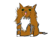 @MightyBear not Narcissa but a cute cat