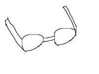 Simple Glasses