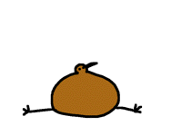 (OLD) Kiwi