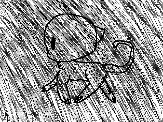 Cat walking