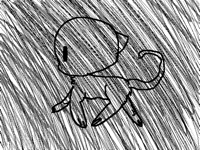Cat walking