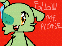 Follow me please flash warning